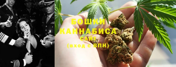 гашик Няндома