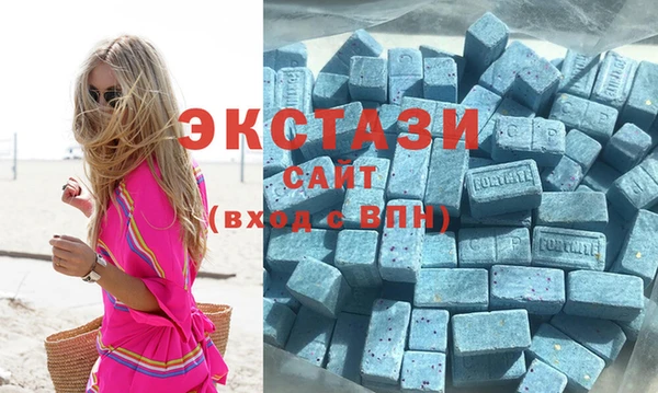 гашик Няндома