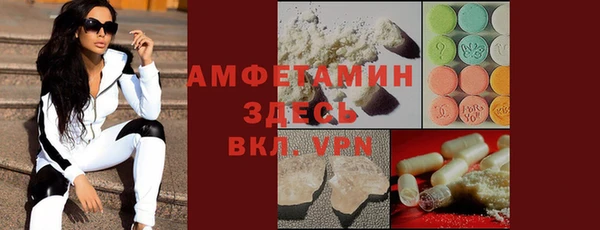 гашик Няндома