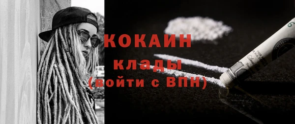 гашик Няндома