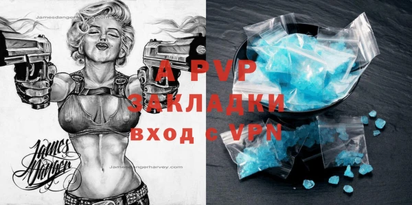 гашик Няндома