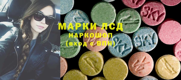 гашик Няндома
