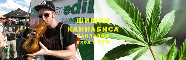 гашик Няндома