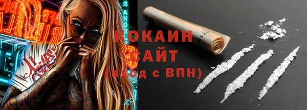 гашик Няндома