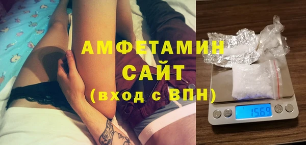 гашик Няндома